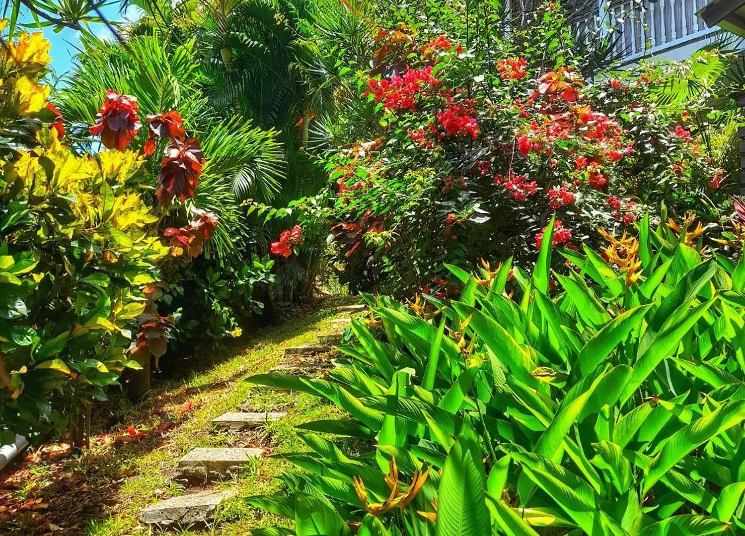 Studio Bwa Banbou Dans Villa Fleurs Des Iles Le Vauclin Apartament