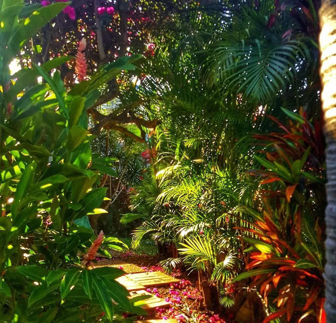 Studio Bwa Banbou Dans Villa Fleurs Des Iles Le Vauclin Διαμέρισμα